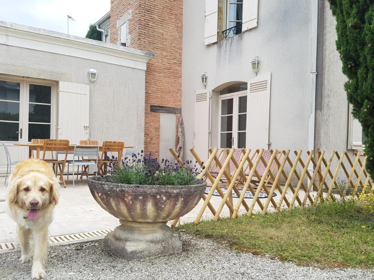 Villa Eva Des Landes Rion-Des-Landes 외부 사진